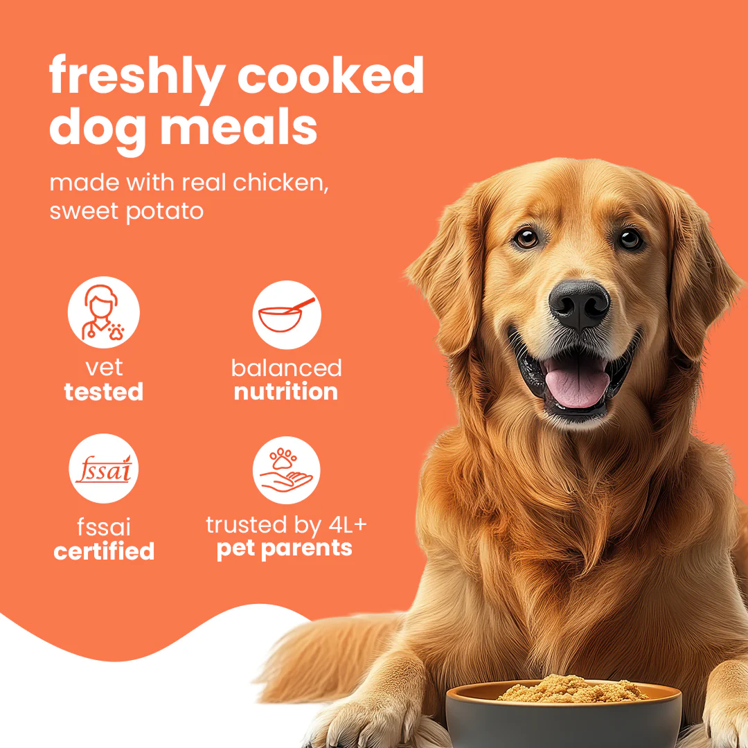 Nibblr Chicken Sweet Potato & Rice Dog Food – 300g - Image 3