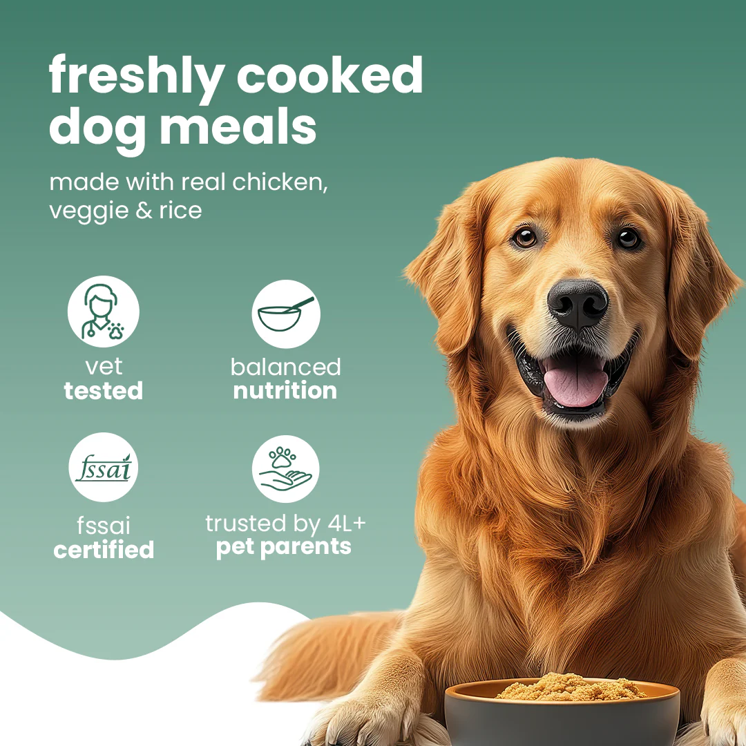 Nibblr Chicken Veggie & Rice Dog Food – 300g - Image 3