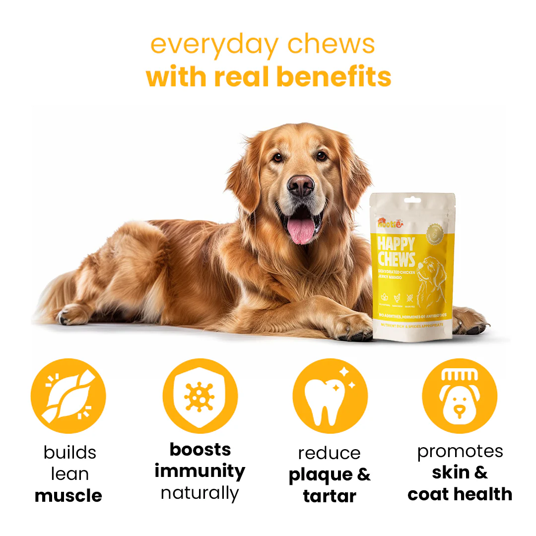 Nootie Happy Chews – Dehydrated Chicken Jerky Mango Dog Treats – 80g – All-Natural, Farm Fresh and Grain Free, Protein-Rich Snack for Dogs - Image 5